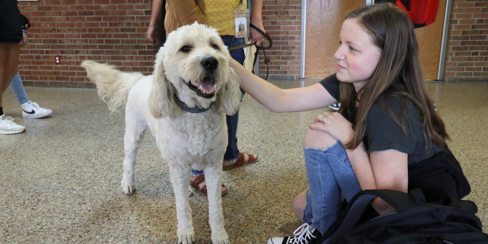 Student petting therapy dog