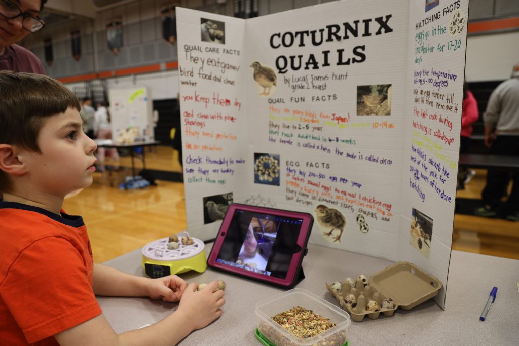 Students at a science fair 