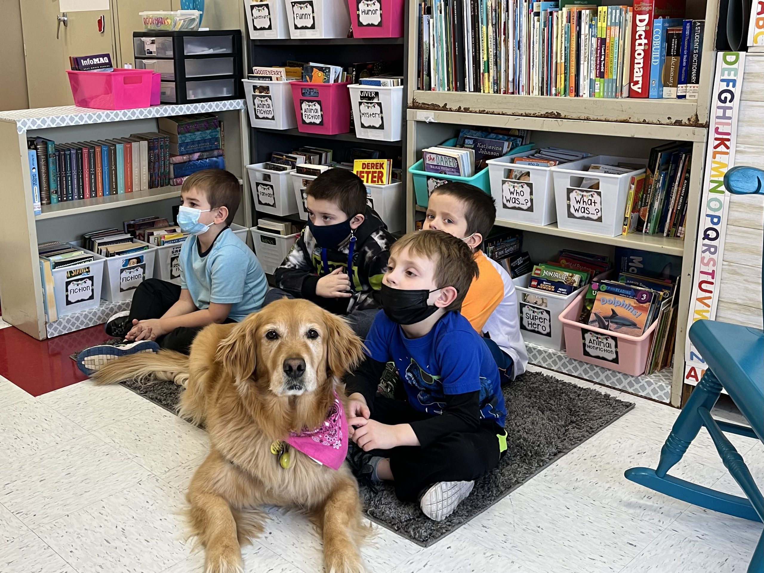 Therapy Dog Spotlight: Gracie